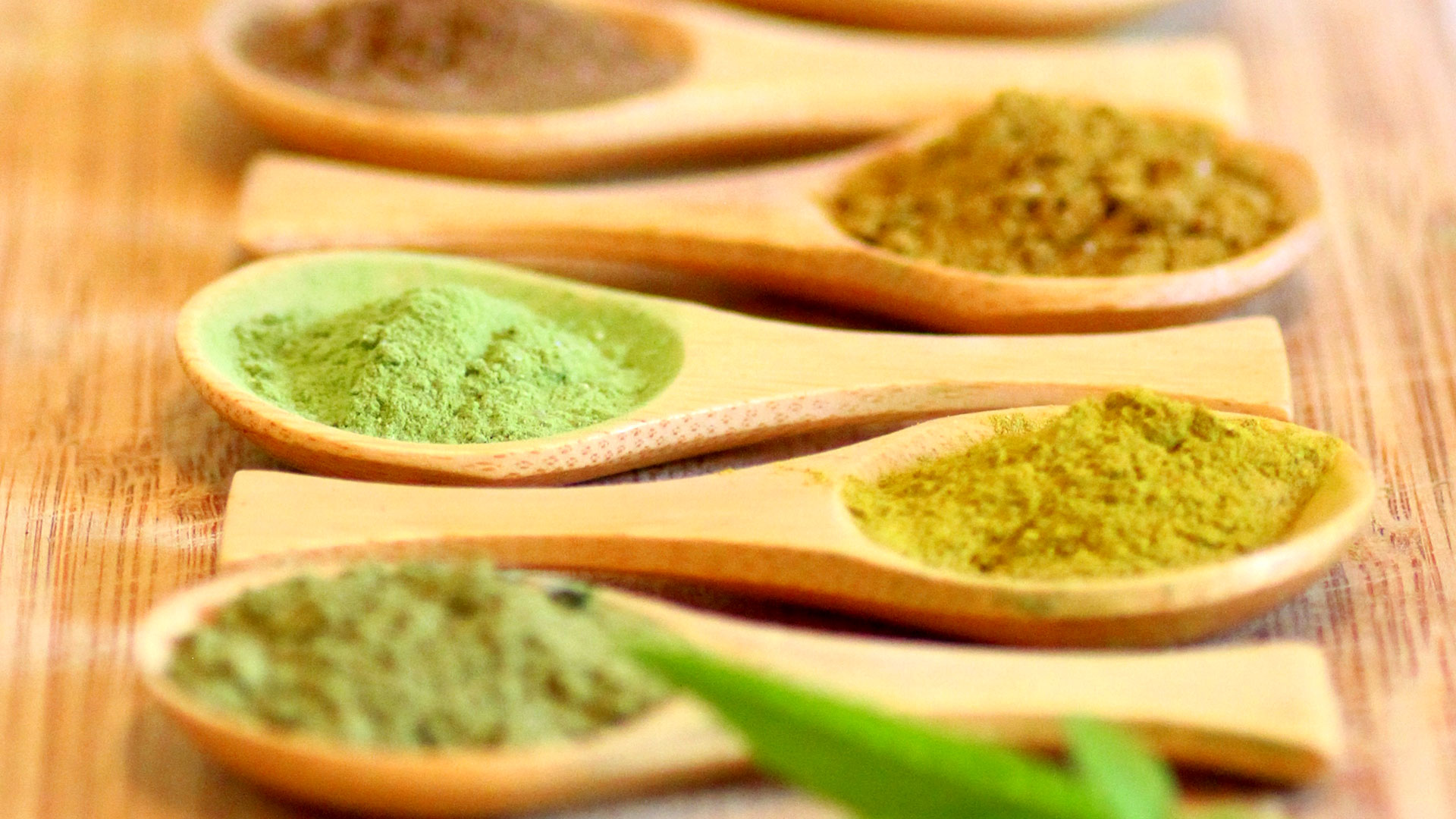 5 Functional Benefits Of Yerba Maté For Everyone Twist Teas