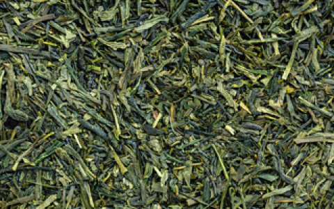 Sencha-Green